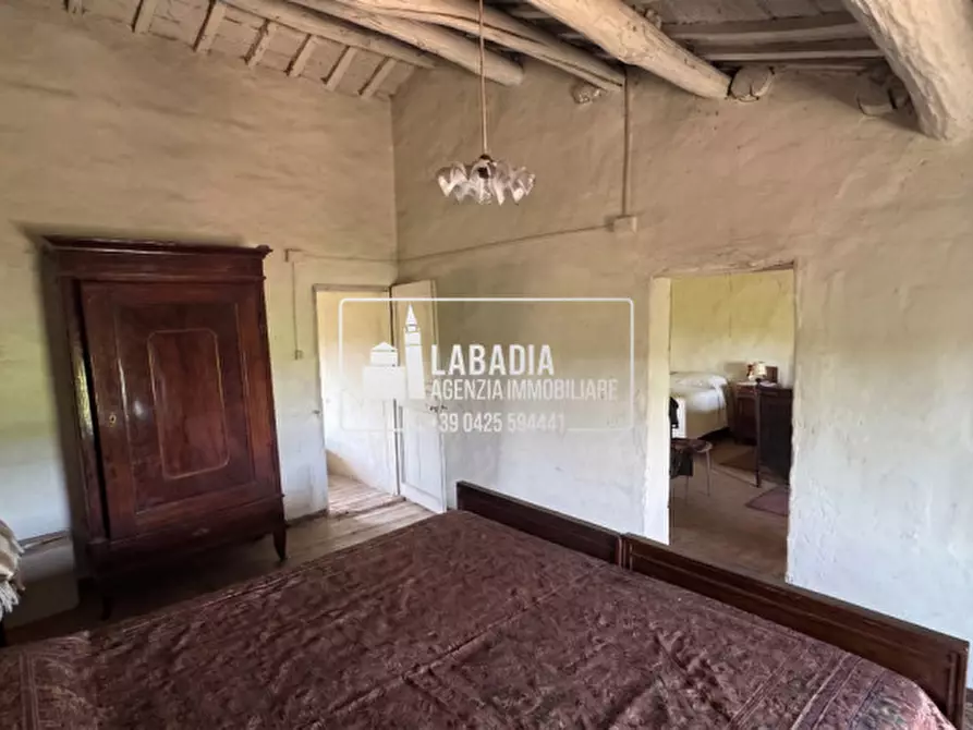 Immagine 40 di Rustico / casale in vendita  in Via Trecenta - SP11 1965 a Ceneselli