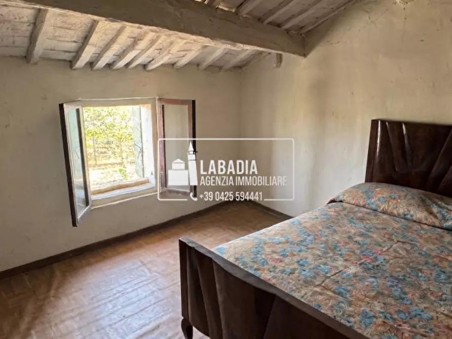 Immagine 42 di Rustico / casale in vendita  in Via Trecenta - SP11 1965 a Ceneselli