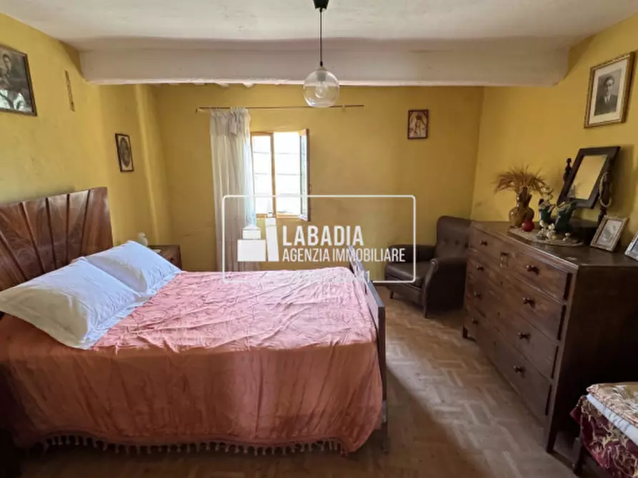 Immagine 44 di Rustico / casale in vendita  in Via Trecenta - SP11 1965 a Ceneselli