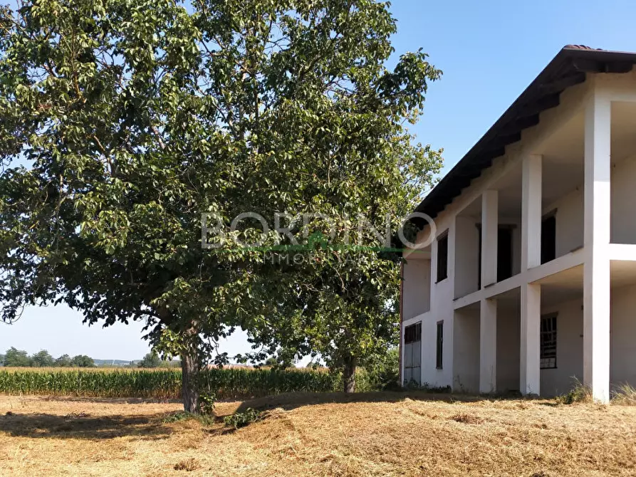 Immagine 11 di Villa in vendita  a Costigliole D'asti