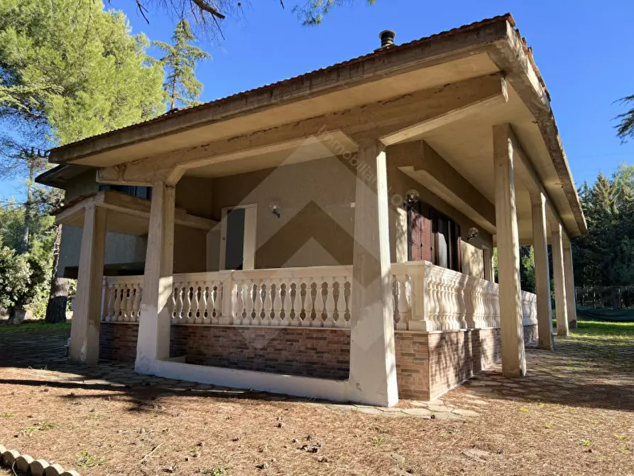 Immagine 1 di Villa in vendita  a Andria