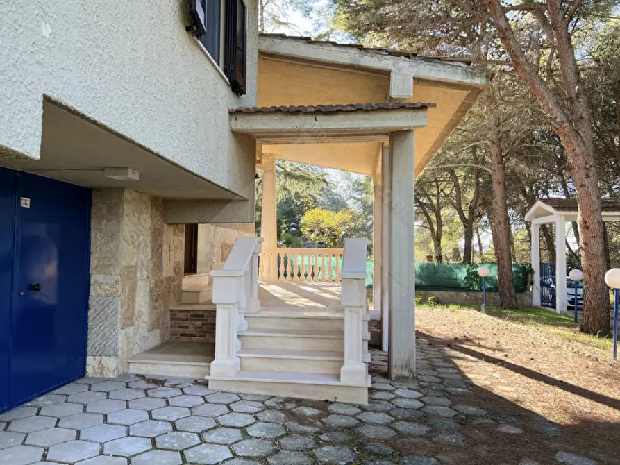 Immagine 2 di Villa in vendita  a Andria