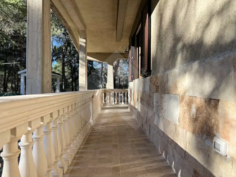Immagine 4 di Villa in vendita  a Andria