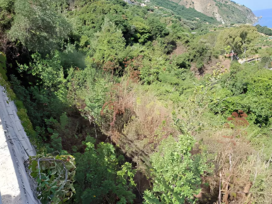 Immagine 3 di Terreno in vendita  in località Calanovella a Piraino