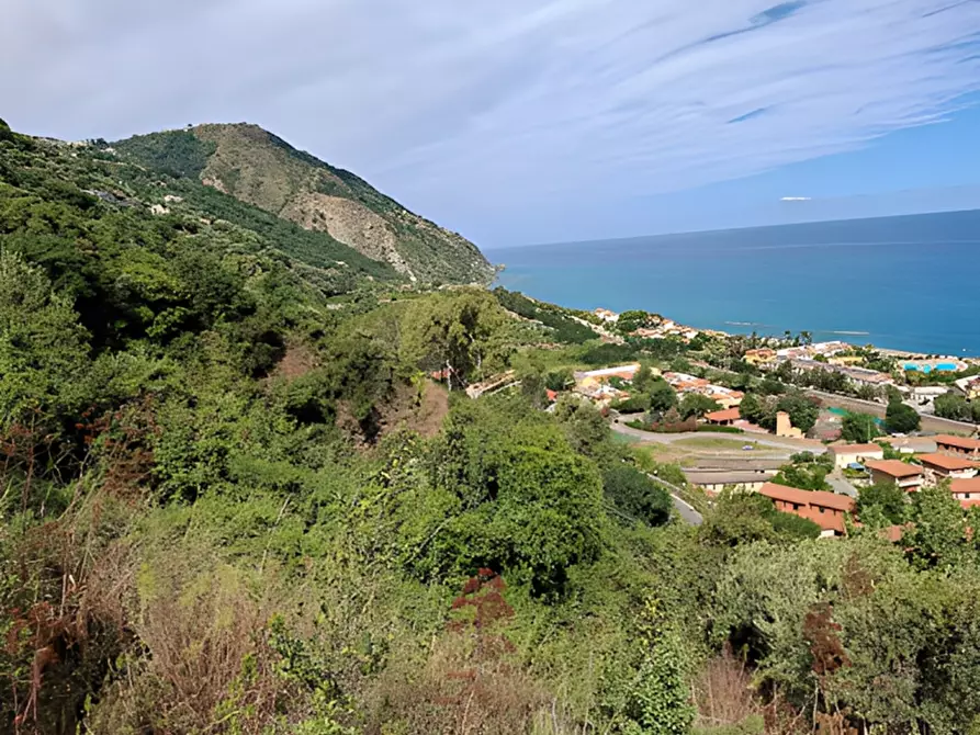 Immagine 5 di Terreno in vendita  in località Calanovella a Piraino