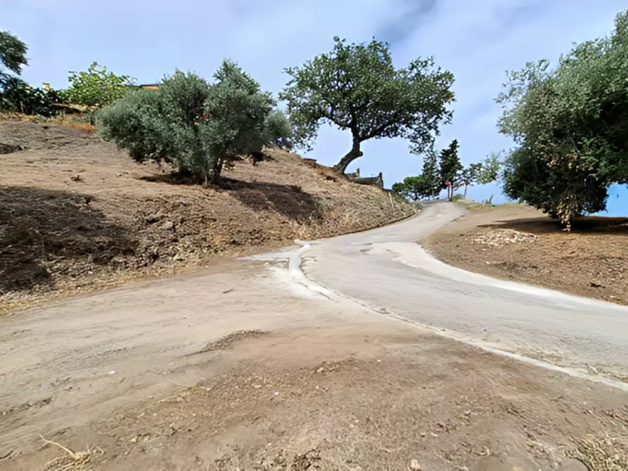 Immagine 7 di Terreno in vendita  in località Calanovella a Piraino
