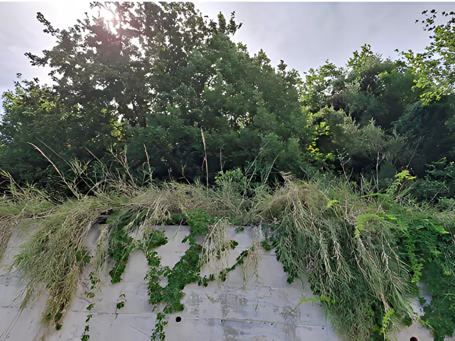 Immagine 10 di Terreno in vendita  in località Calanovella a Piraino