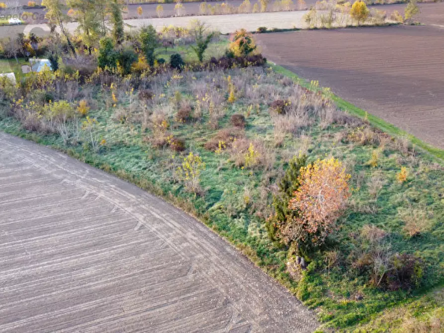 Immagine 3 di Terreno in vendita  a Ponte San Nicolò