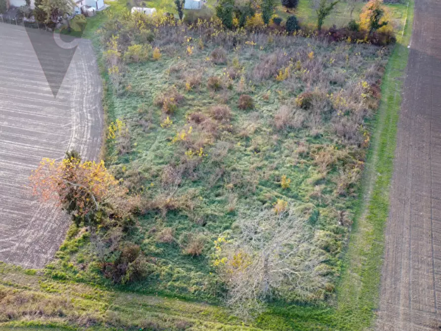 Immagine 4 di Terreno in vendita  a Ponte San Nicolò