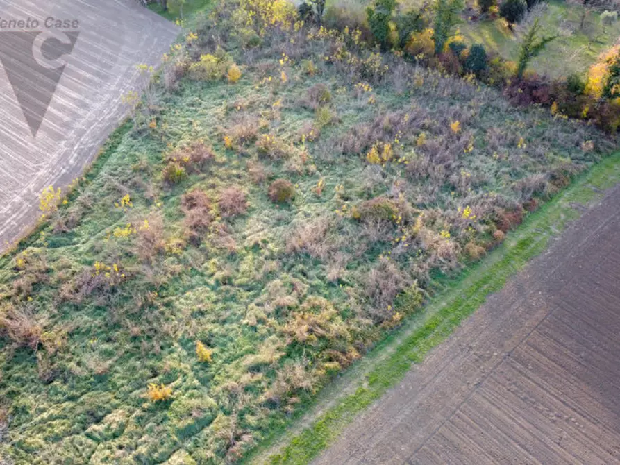 Immagine 6 di Terreno in vendita  a Ponte San Nicolò