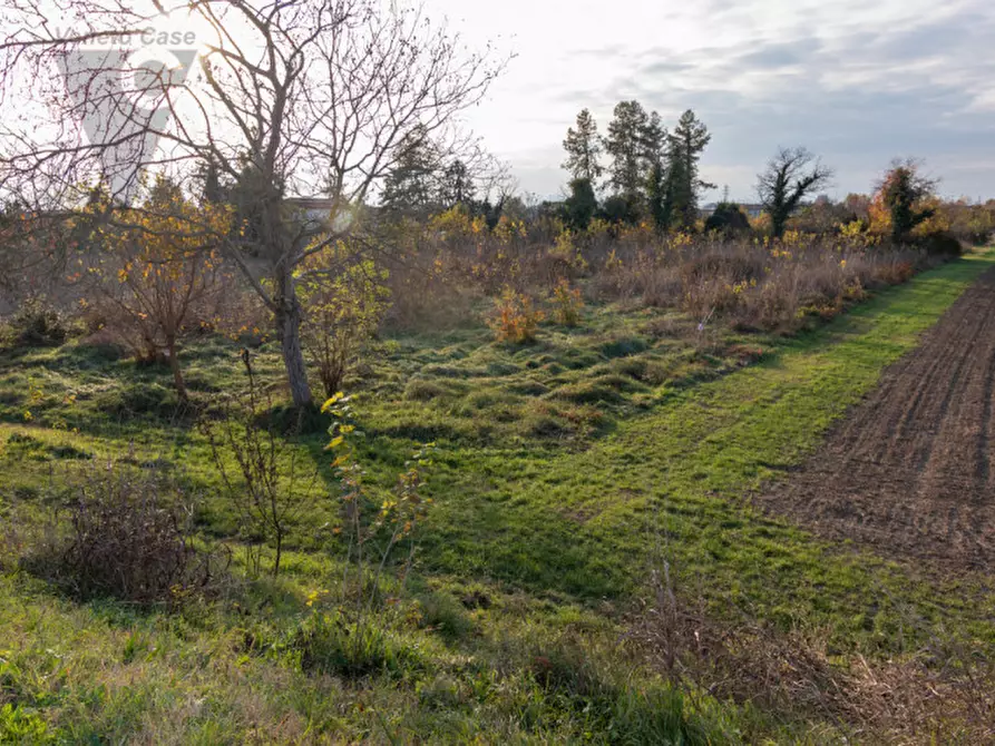 Immagine 7 di Terreno in vendita  a Ponte San Nicolò