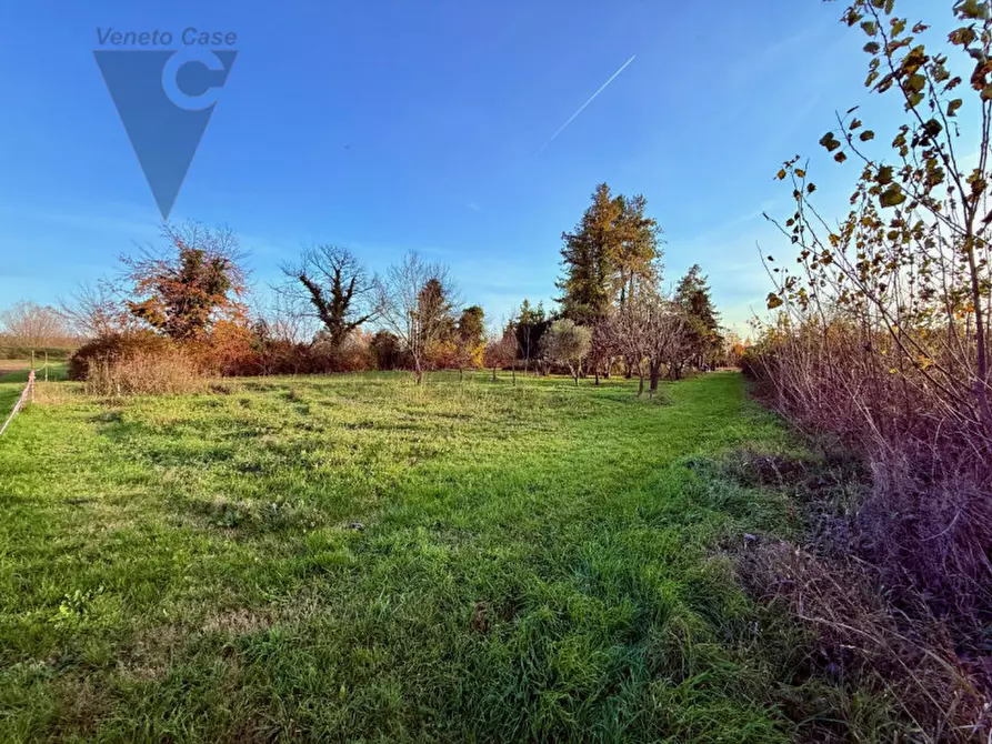 Immagine 8 di Terreno in vendita  a Ponte San Nicolò