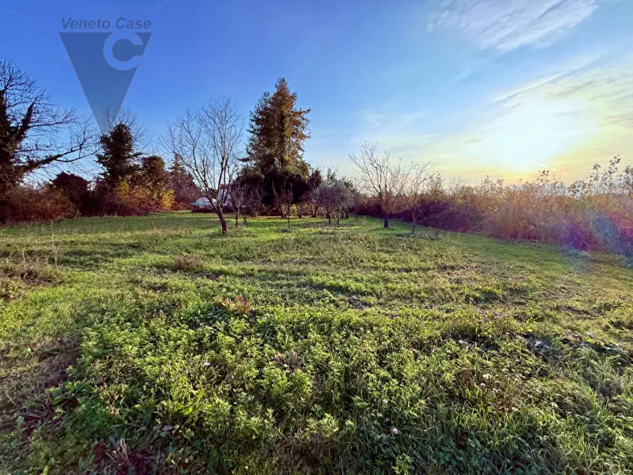 Immagine 9 di Terreno in vendita  a Ponte San Nicolò