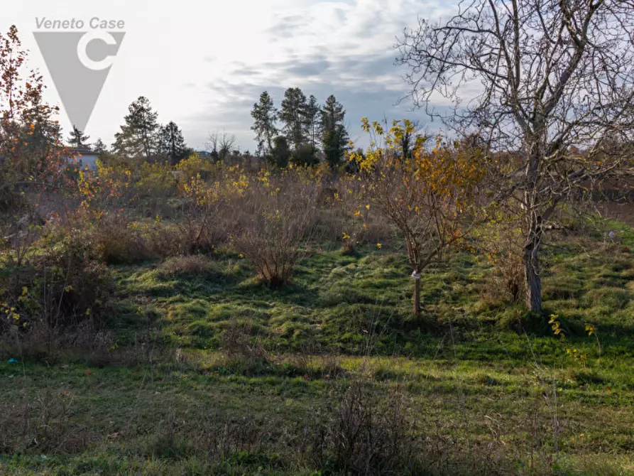 Immagine 10 di Terreno in vendita  a Ponte San Nicolò