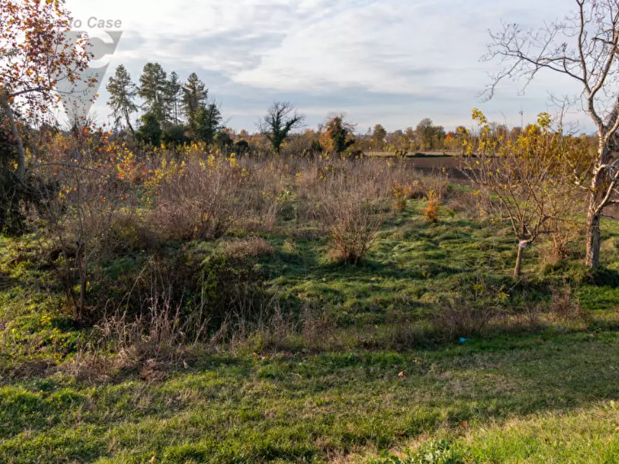 Immagine 11 di Terreno in vendita  a Ponte San Nicolò