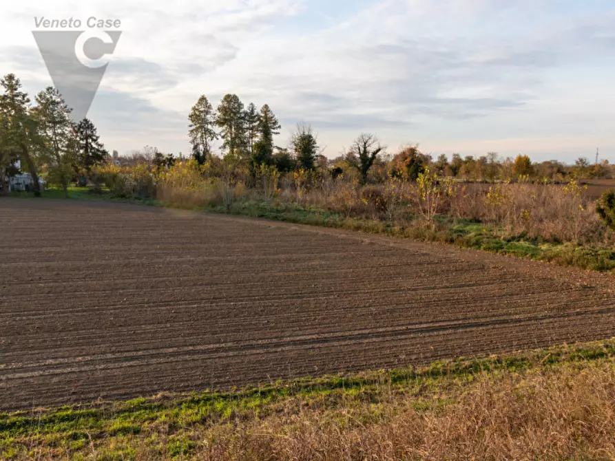 Immagine 12 di Terreno in vendita  a Ponte San Nicolò