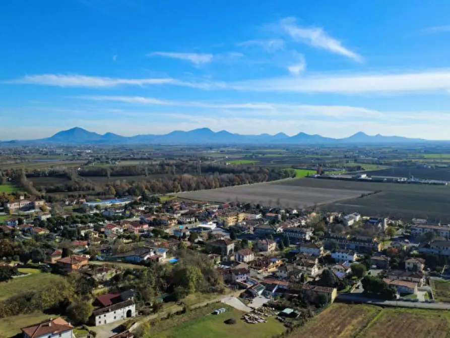 Immagine 2 di Terreno in vendita  a Orgiano