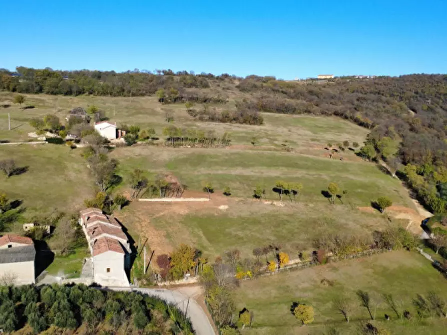 Immagine 3 di Terreno in vendita  a Orgiano
