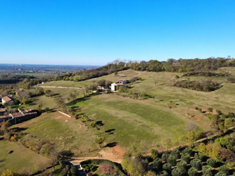 Immagine 4 di Terreno in vendita  a Orgiano