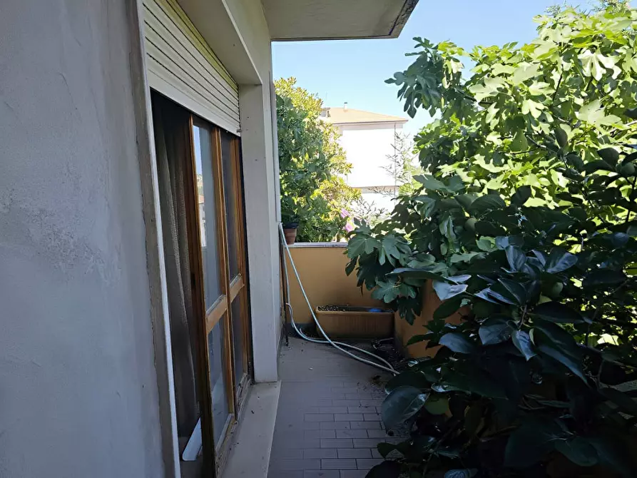 Immagine 18 di Attività commerciale in vendita  in Viale Madonna della Misericordia, N.53 a Ancarano