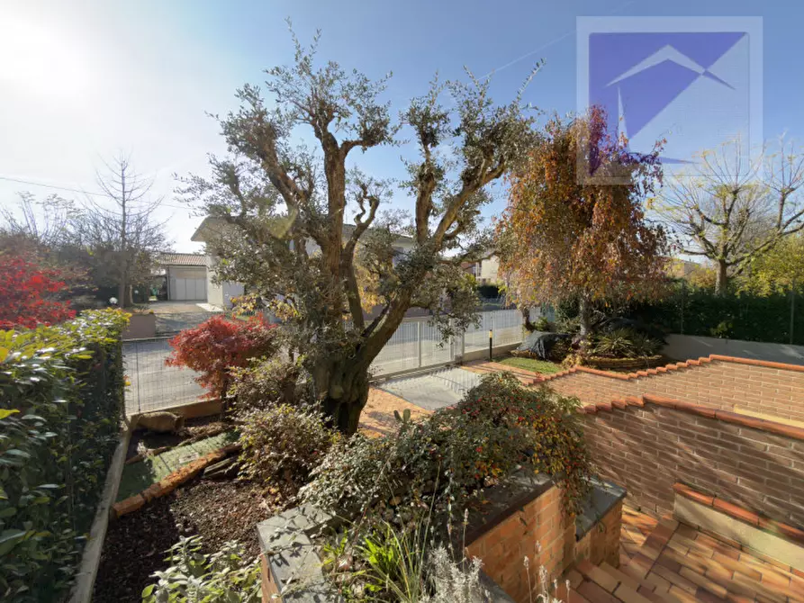 Immagine 4 di Casa trifamiliare in vendita  a Borgoricco