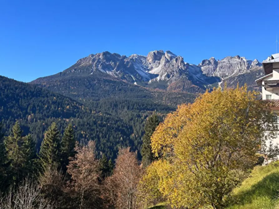 Immagine 33 di Villetta a schiera in vendita  in Via Sapalù a Comelico Superiore