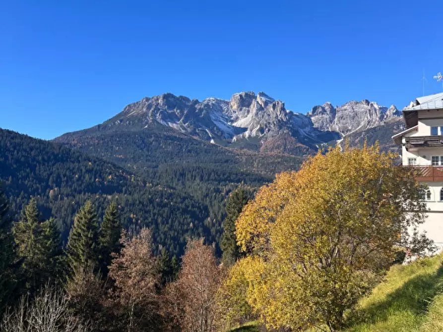 Immagine 36 di Villetta a schiera in vendita  in Via Sapalù a Comelico Superiore