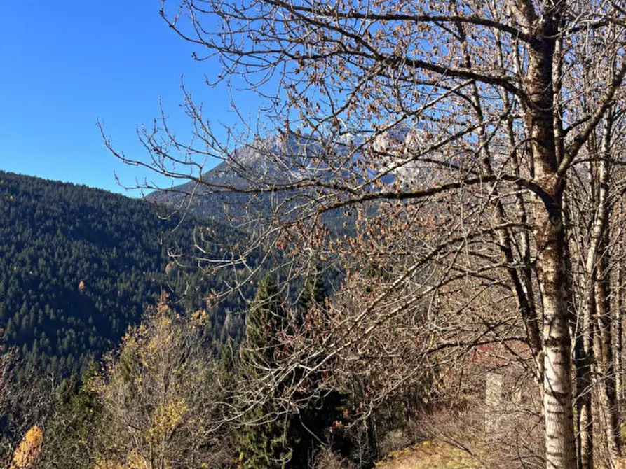 Immagine 65 di Villetta a schiera in vendita  in Via Sapalù a Comelico Superiore