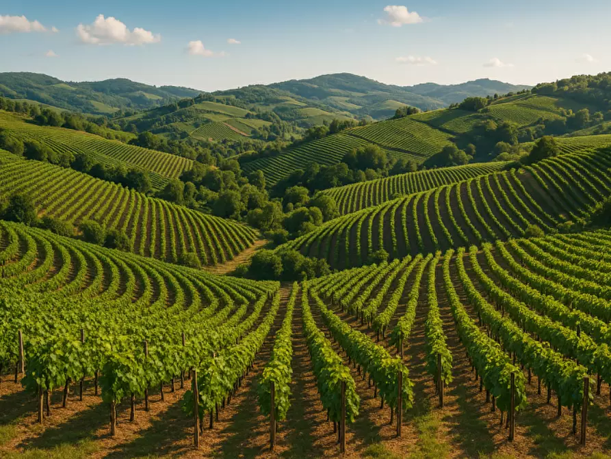 Immagine 2 di Terreno in vendita  in via paione a Arqua' Petrarca