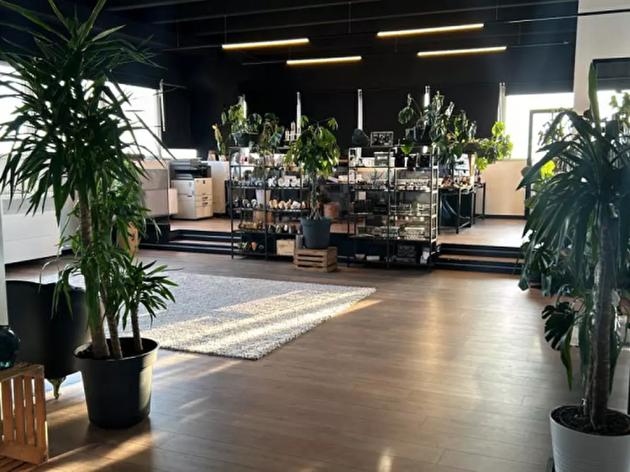 Immagine 9 di Ufficio in affitto  in Via Sebastiano Venier a Marcon