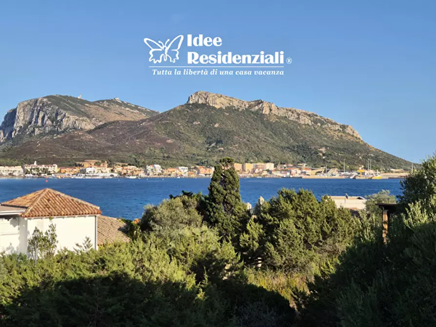 Immagine 2 di Villetta a schiera in vendita  a Golfo Aranci