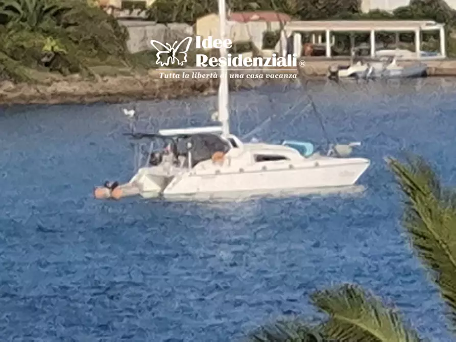 Immagine 17 di Villetta a schiera in vendita  a Golfo Aranci