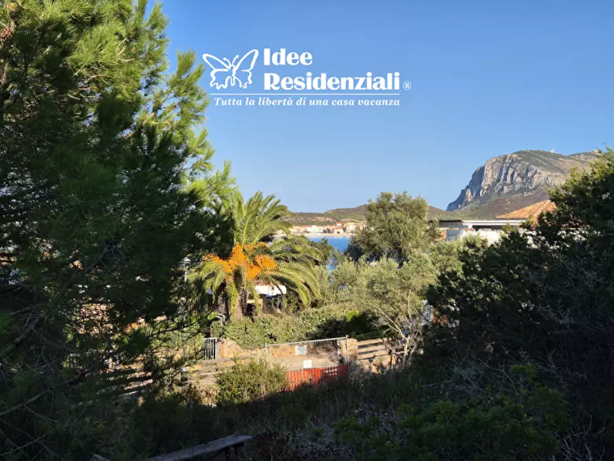 Immagine 18 di Villetta a schiera in vendita  a Golfo Aranci