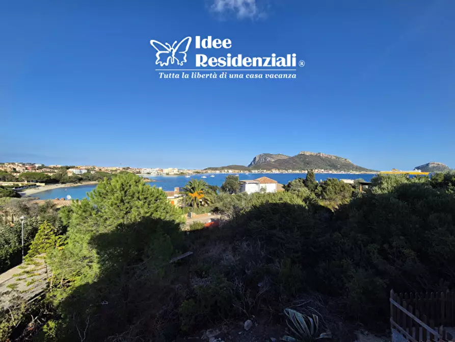 Immagine 22 di Villetta a schiera in vendita  a Golfo Aranci