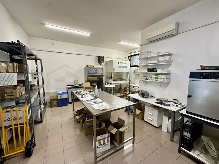 Immagine 6 di Negozio in vendita  in Vicolo Vittorio Bachelet a Limena