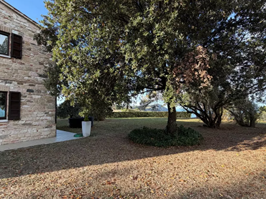 Immagine 26 di Casa bifamiliare in affitto  in FRAZIONE POGGIO a Ancona