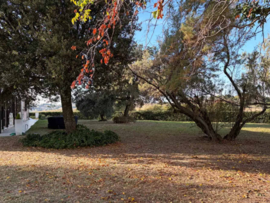 Immagine 27 di Casa bifamiliare in affitto  in FRAZIONE POGGIO a Ancona