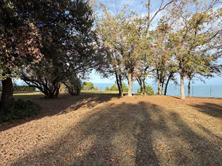 Immagine 29 di Casa bifamiliare in affitto  in FRAZIONE POGGIO a Ancona