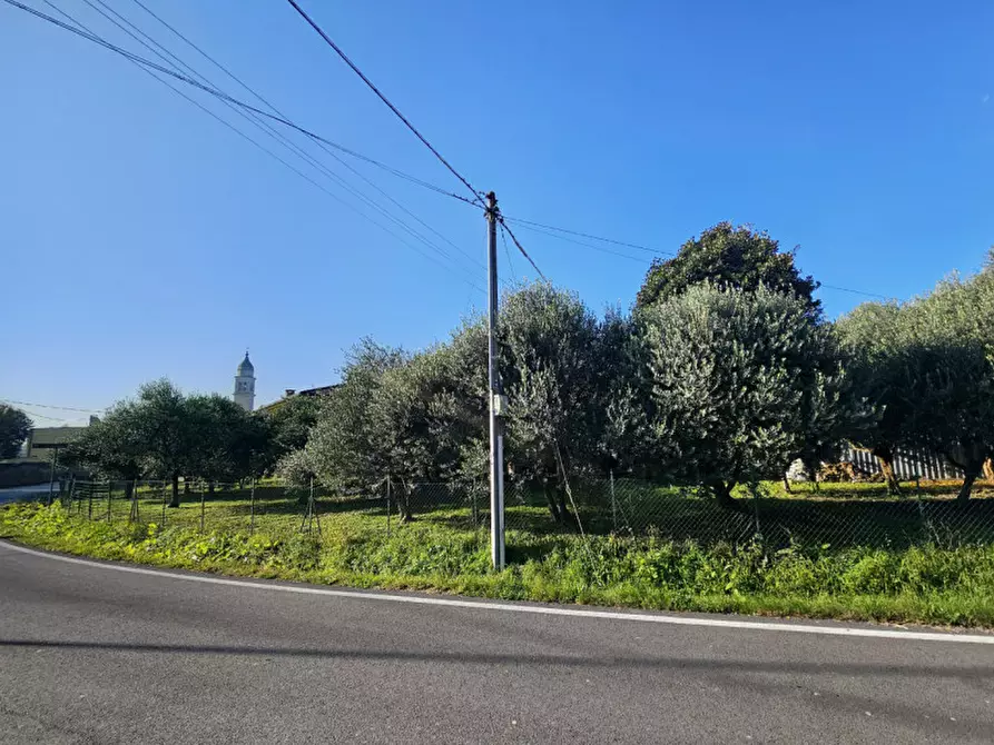 Immagine 2 di Terreno in vendita  in Via Chiesa Prà a Este