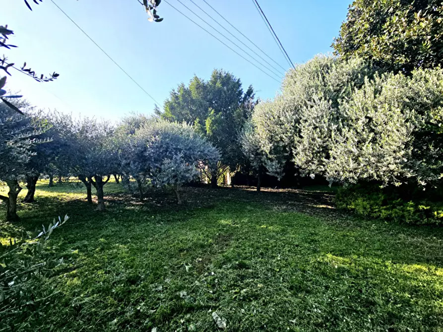 Immagine 3 di Terreno in vendita  in Via Chiesa Prà a Este