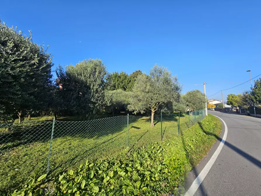 Immagine 4 di Terreno in vendita  in Via Chiesa Prà a Este
