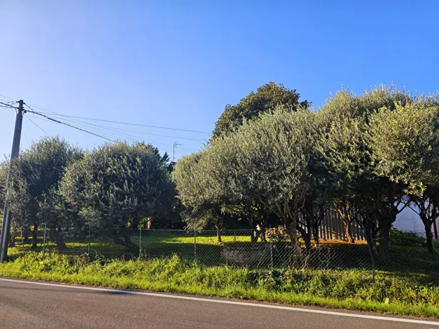 Immagine 5 di Terreno in vendita  in Via Chiesa Prà a Este
