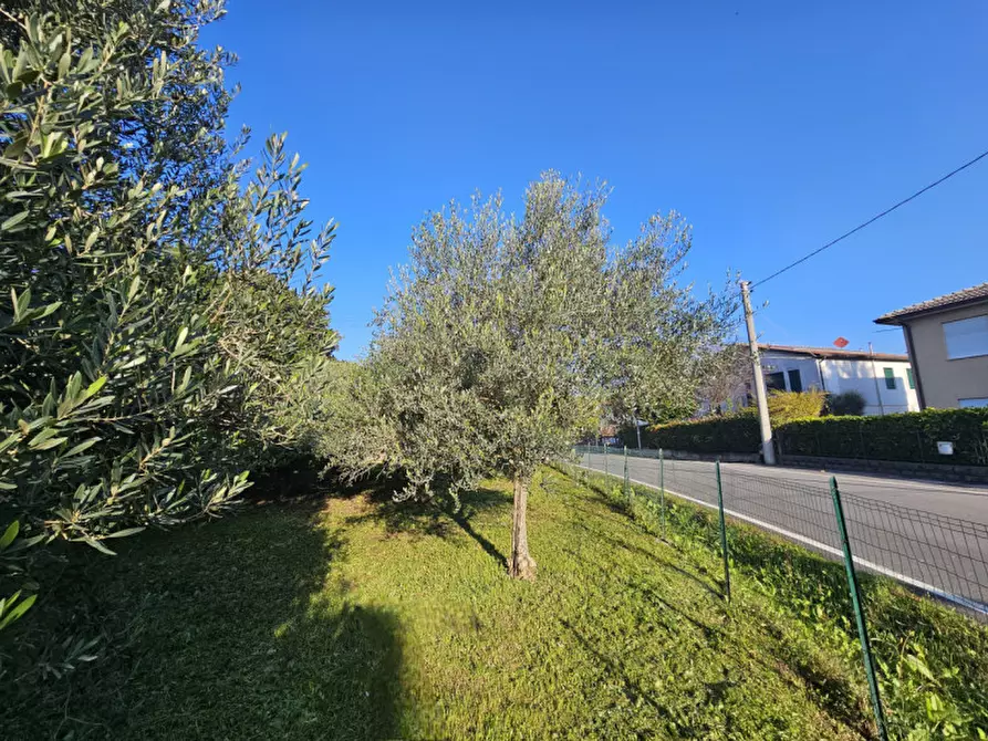 Immagine 6 di Terreno in vendita  in Via Chiesa Prà a Este