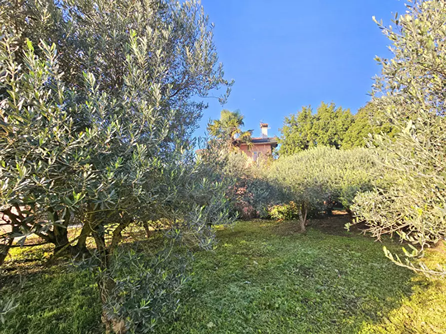 Immagine 7 di Terreno in vendita  in Via Chiesa Prà a Este