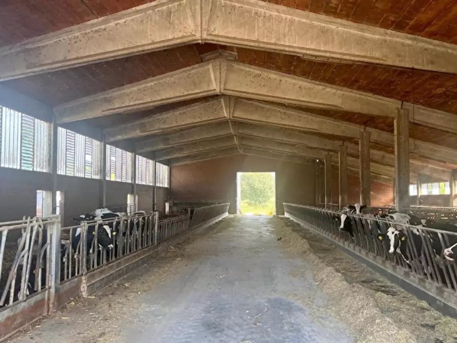 Immagine 11 di Villa in vendita  in Via Battaglie, 21/B, 25017 Lonato del Garda BS, Italia a Lonato del Garda