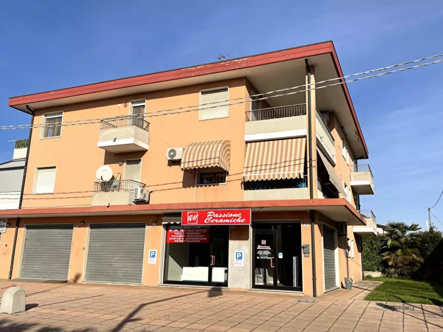 Immagine 3 di Appartamento in vendita  a Pontelongo