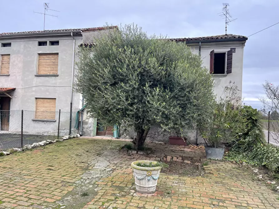 Immagine 1 di Rustico / casale in vendita  a Suzzara