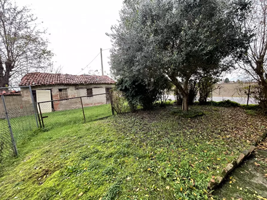 Immagine 10 di Rustico / casale in vendita  a Suzzara