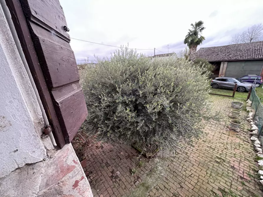 Immagine 14 di Rustico / casale in vendita  a Suzzara
