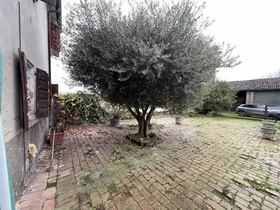 Immagine 20 di Rustico / casale in vendita  a Suzzara